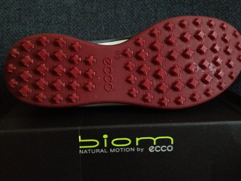 ECCO BIOM Hybrid Review