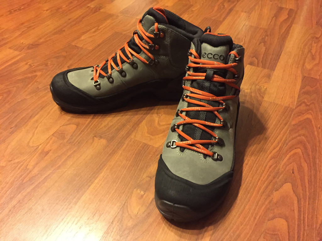 ECCO BIOM Terrain GTX Hiking Boot - Gear Review | Busted Wallet