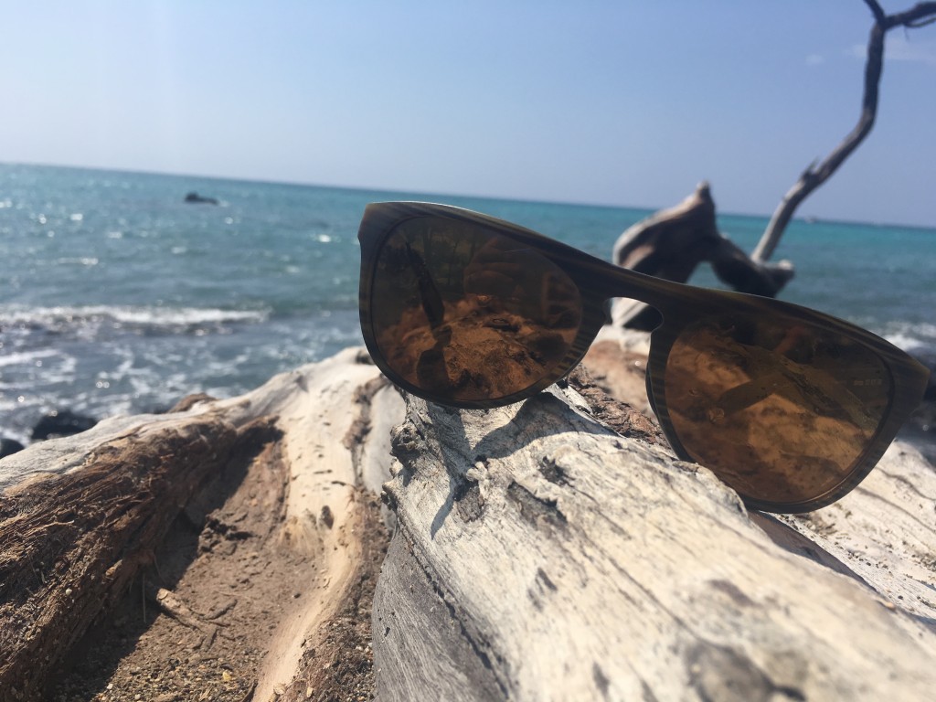 Native Eyewear Sanitas Review