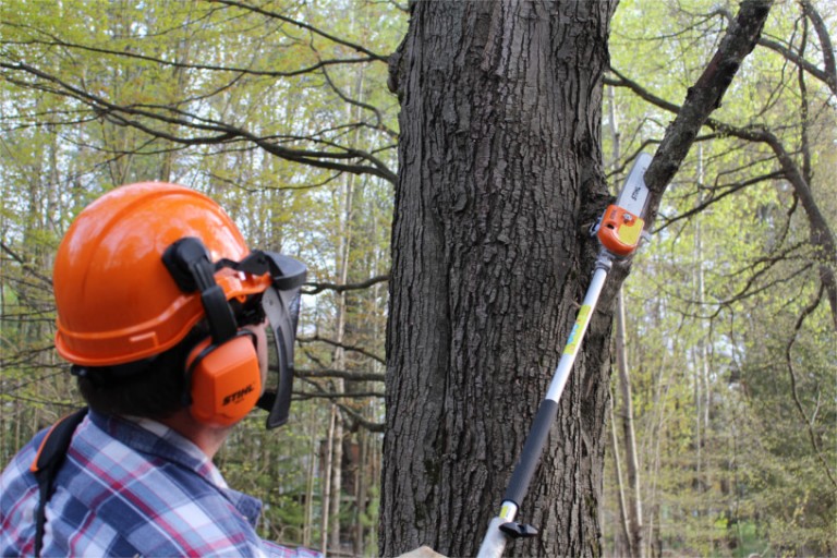 STIHL KombiSystem Tool Review Busted Wallet