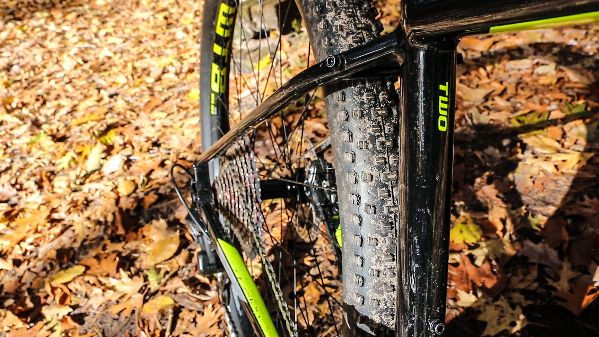cannondale trail 2 2019 review