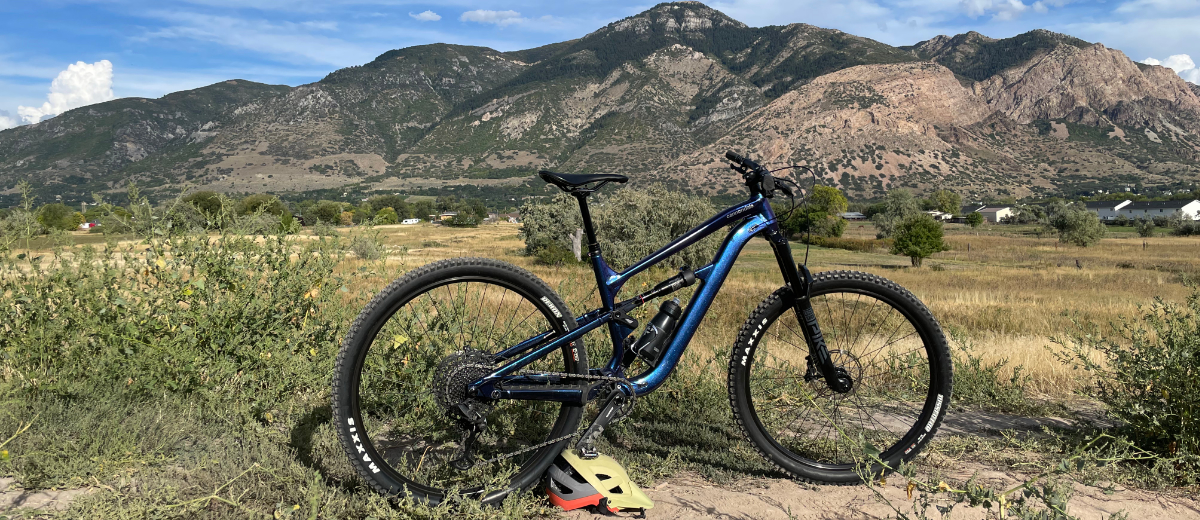Cannondale Habit 3 | Mountain Bike Review | Busted Wallet